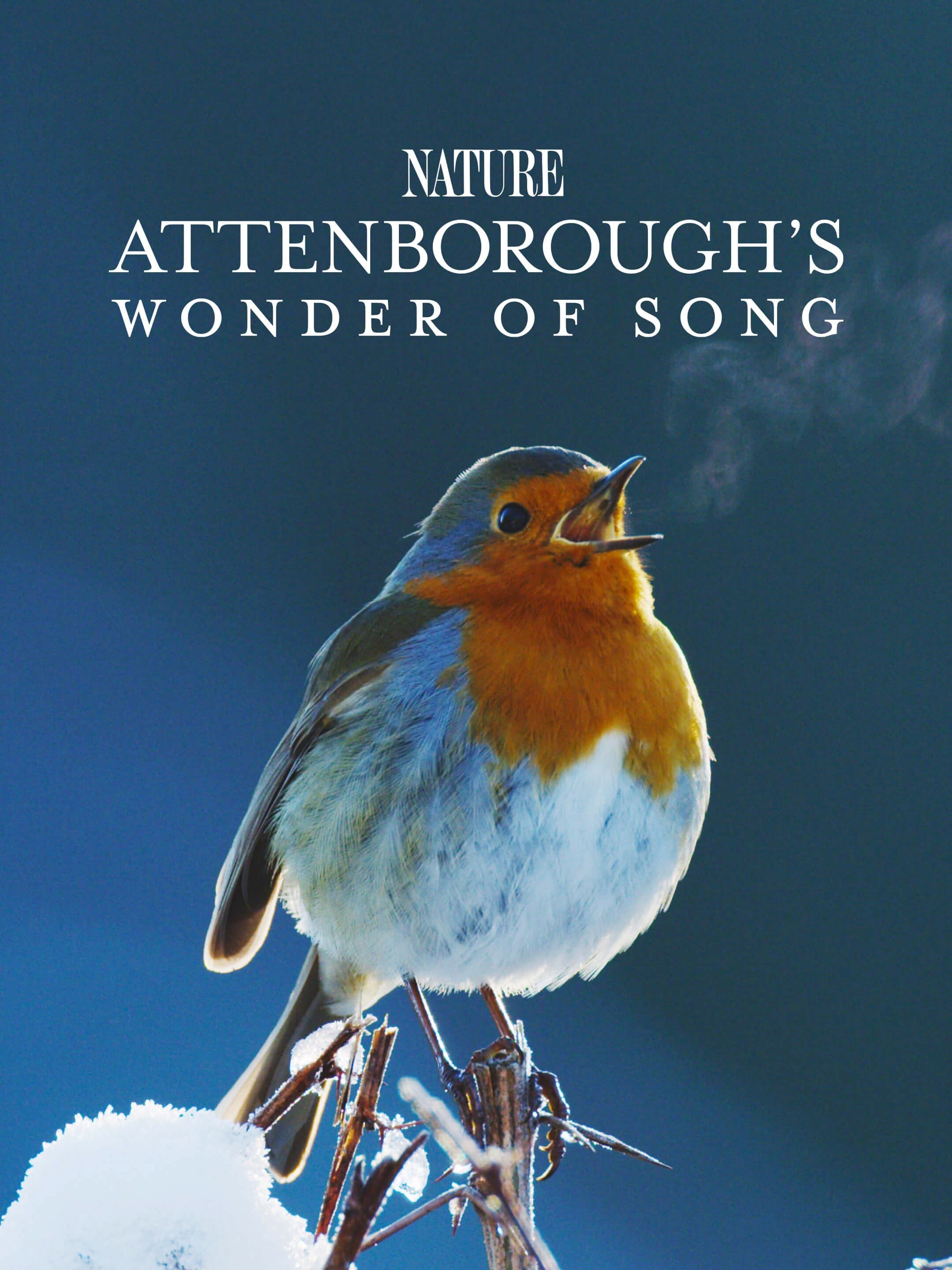 Attenborough's Wonder of Song