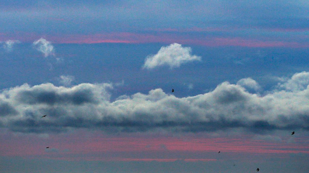 STV Weather North