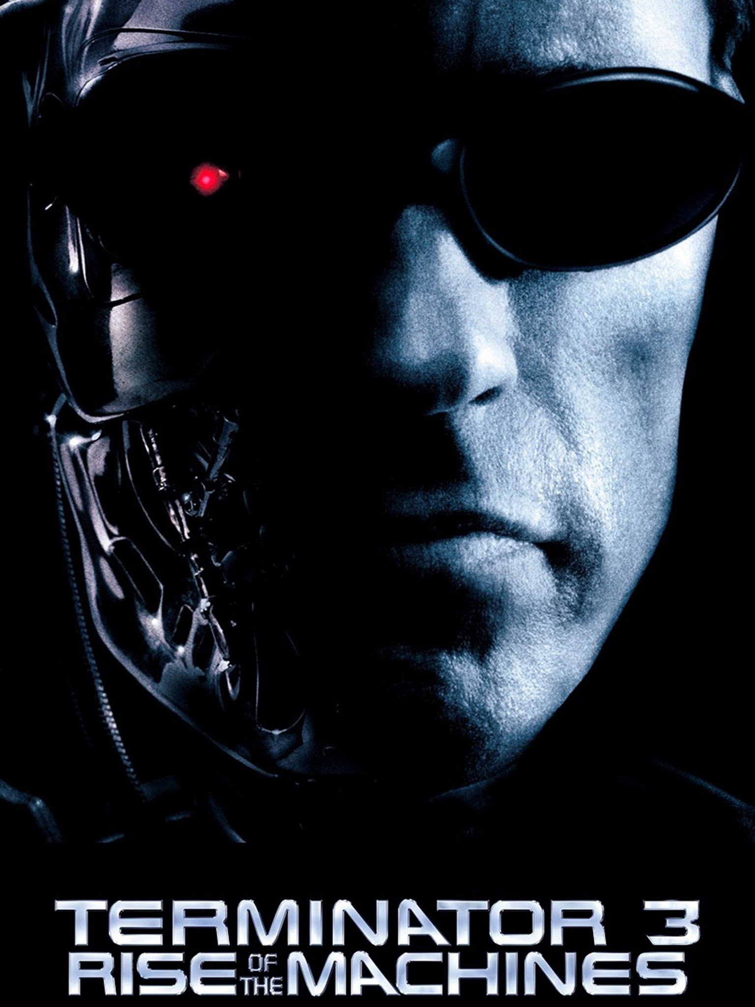 Terminator 3: Rise Of The Machines