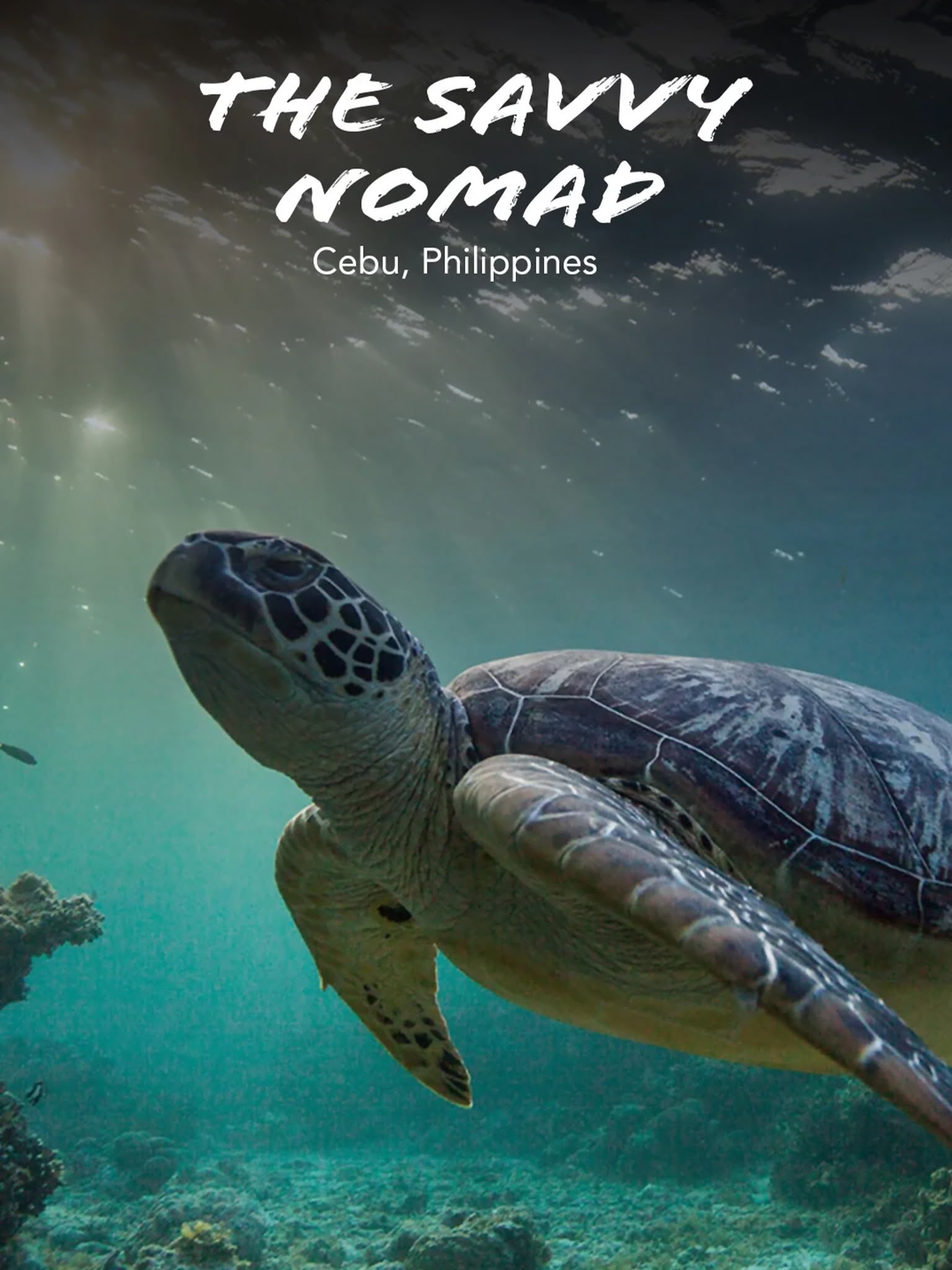 The Savvy Nomad Philippines