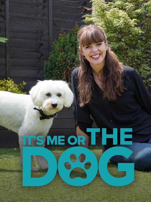 It's Me Or The Dog