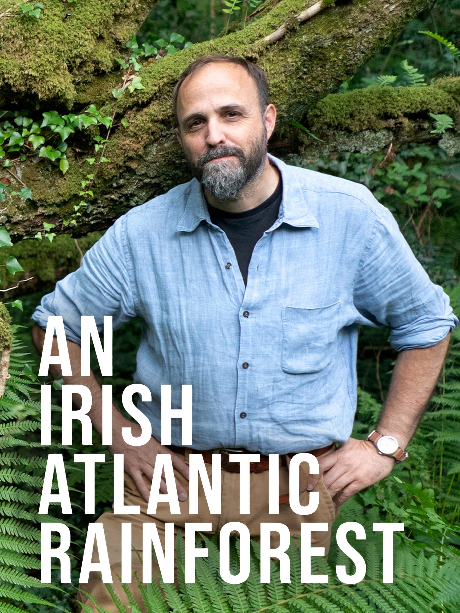 An Irish Atlantic Rainforest