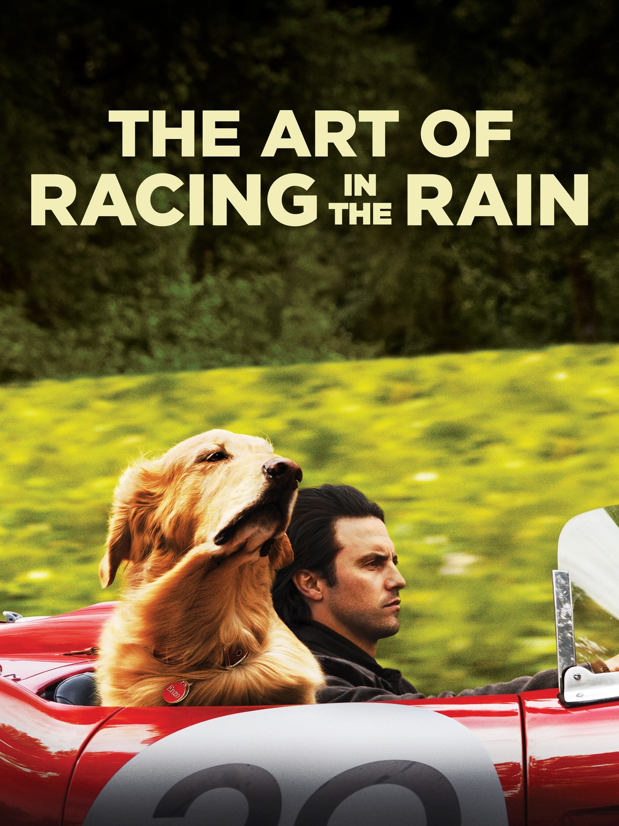 The Art of Racing in the Rain