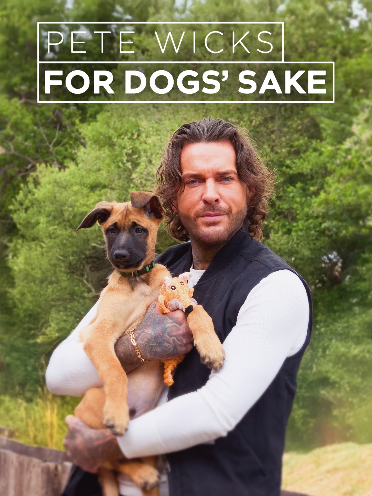 New: Pete Wicks: For Dogs' Sake