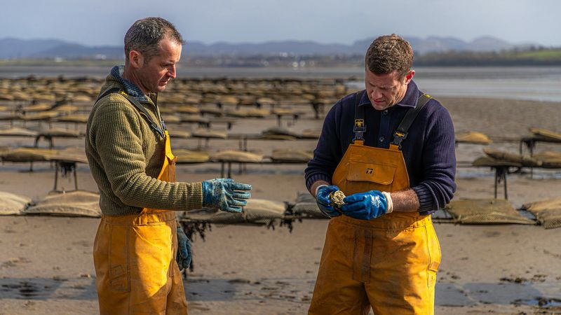 Dermot's Taste of Ireland