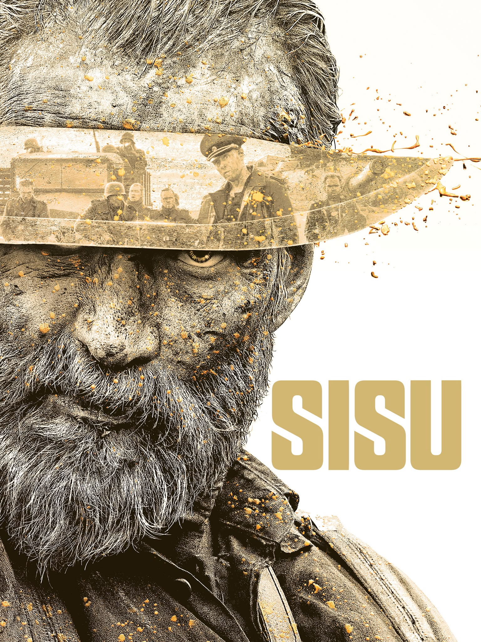 Sisu