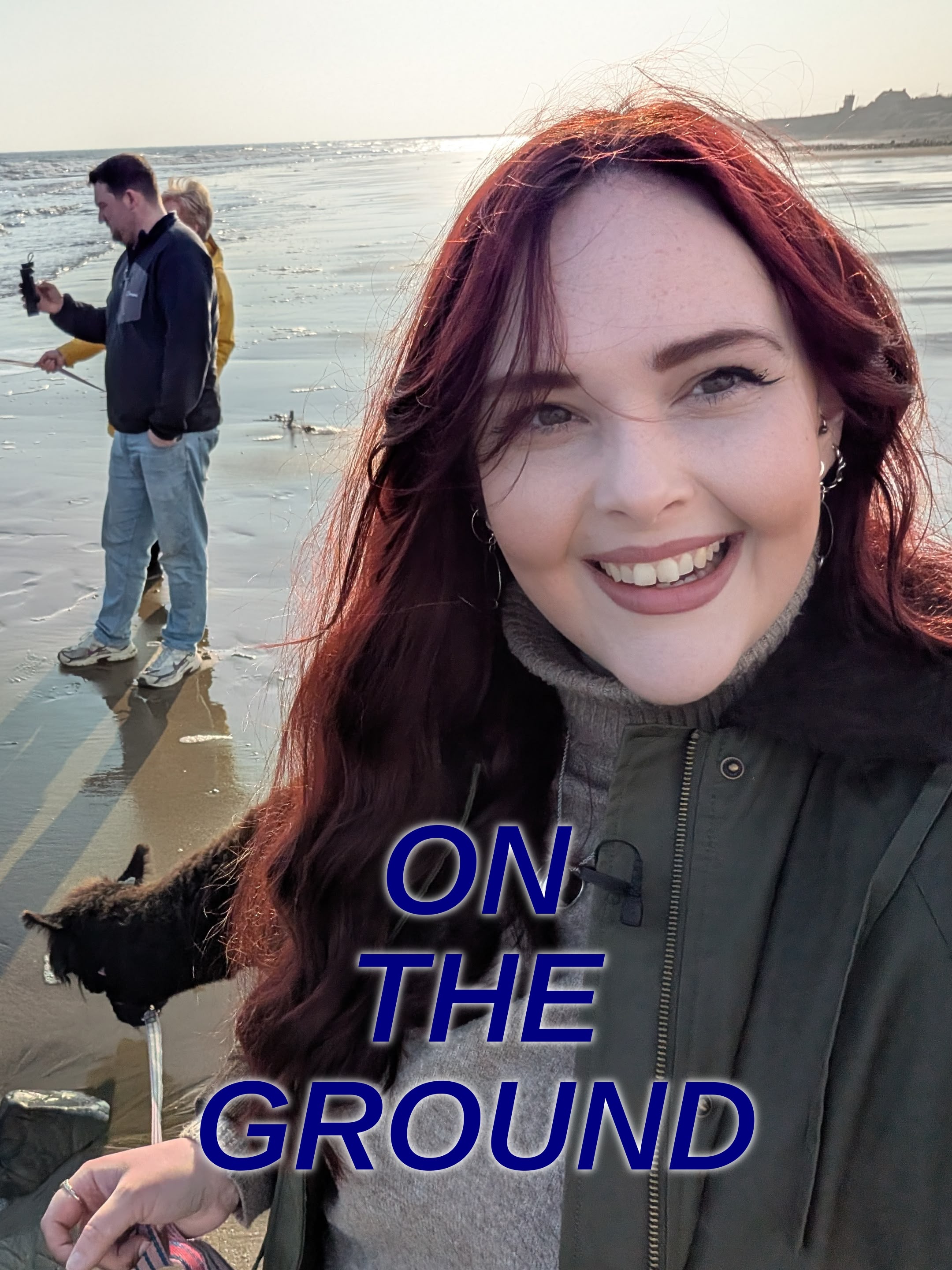 New: On The Ground