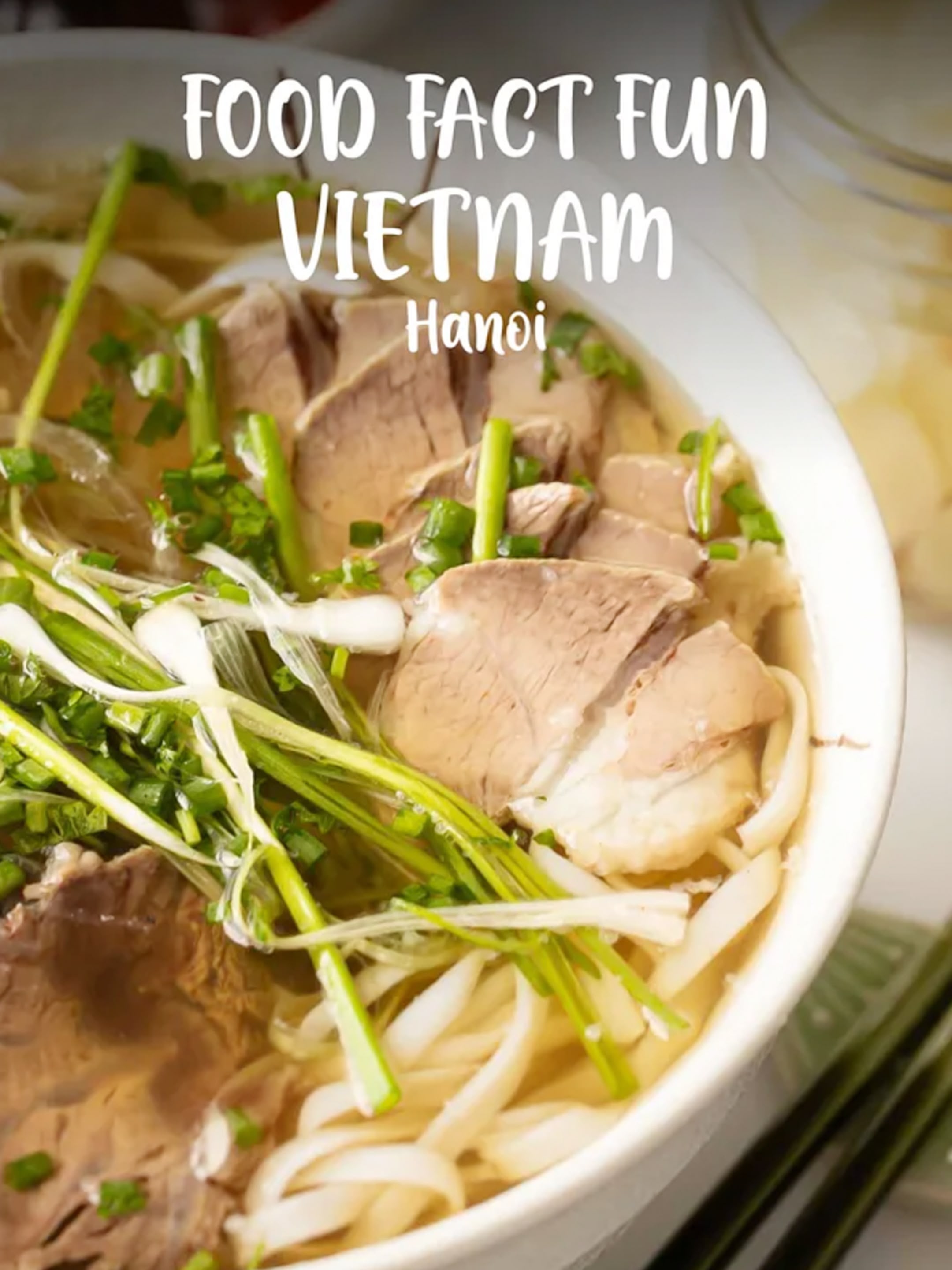 Food Fact Fun Vietnam