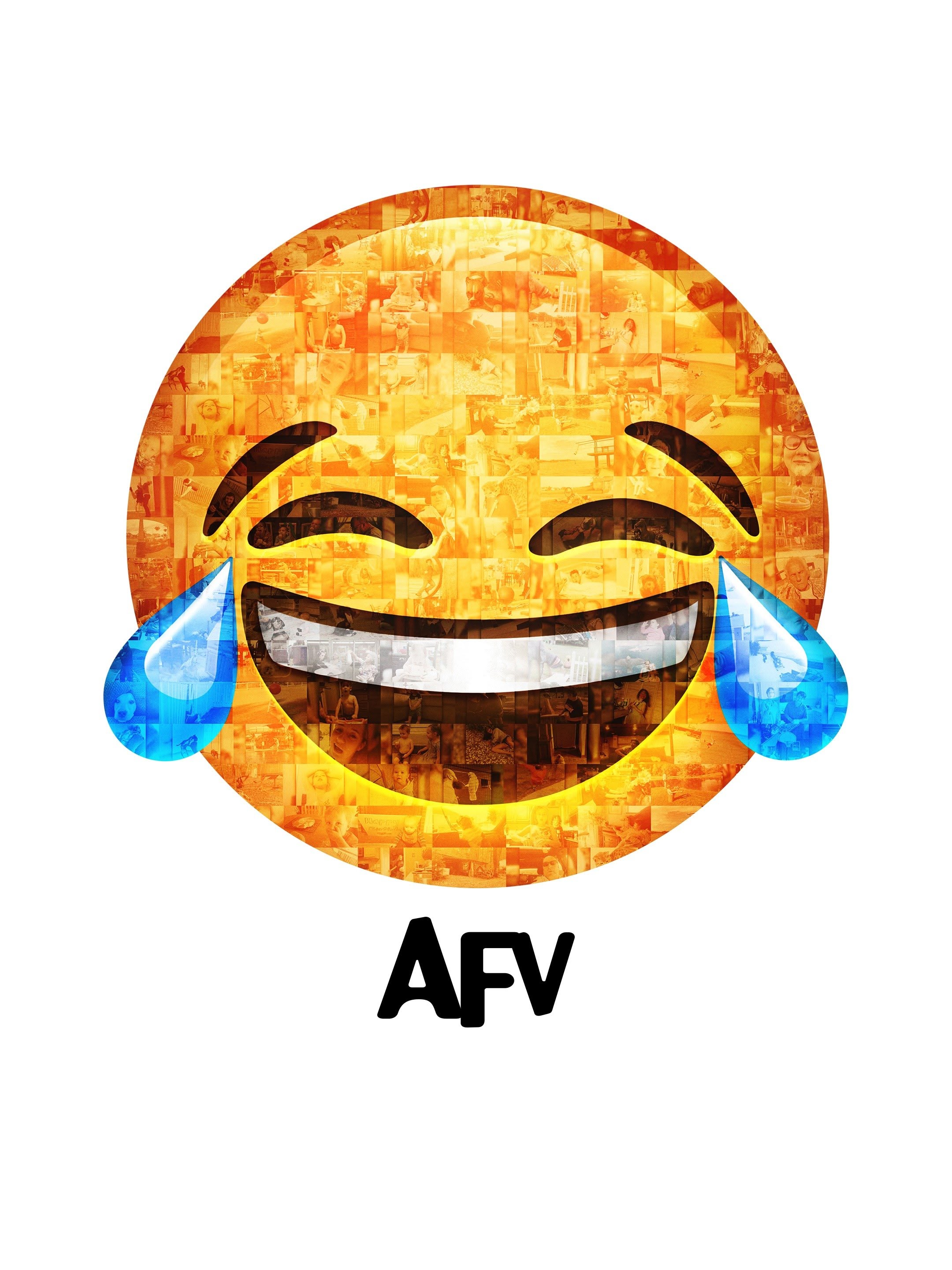 America's Funniest Home Videos