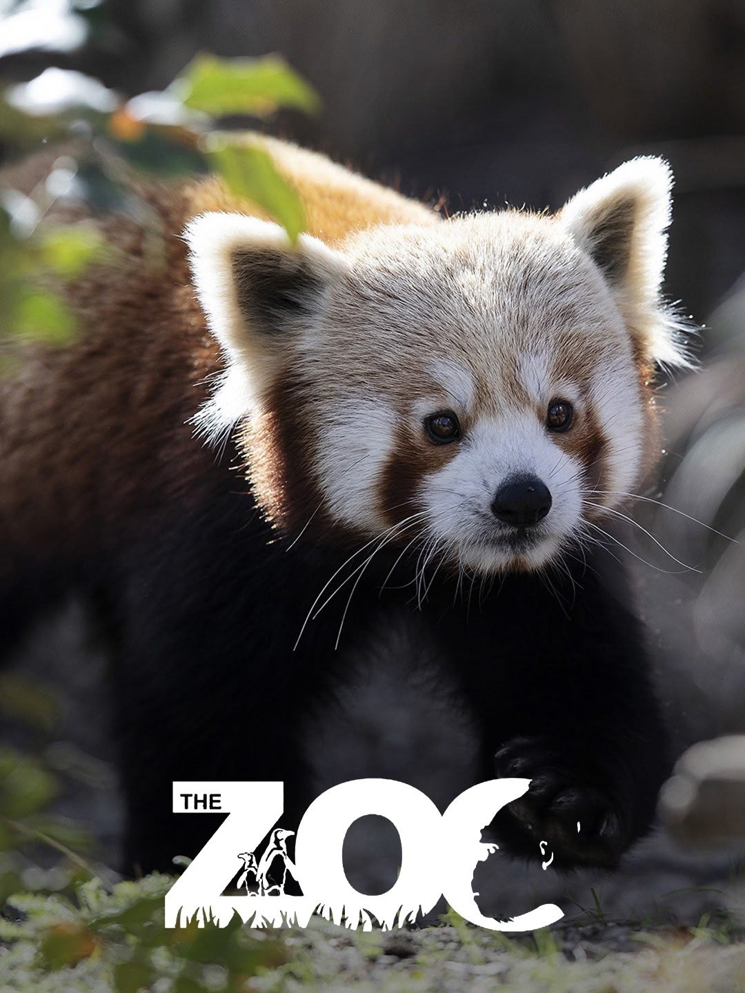 The Zoo