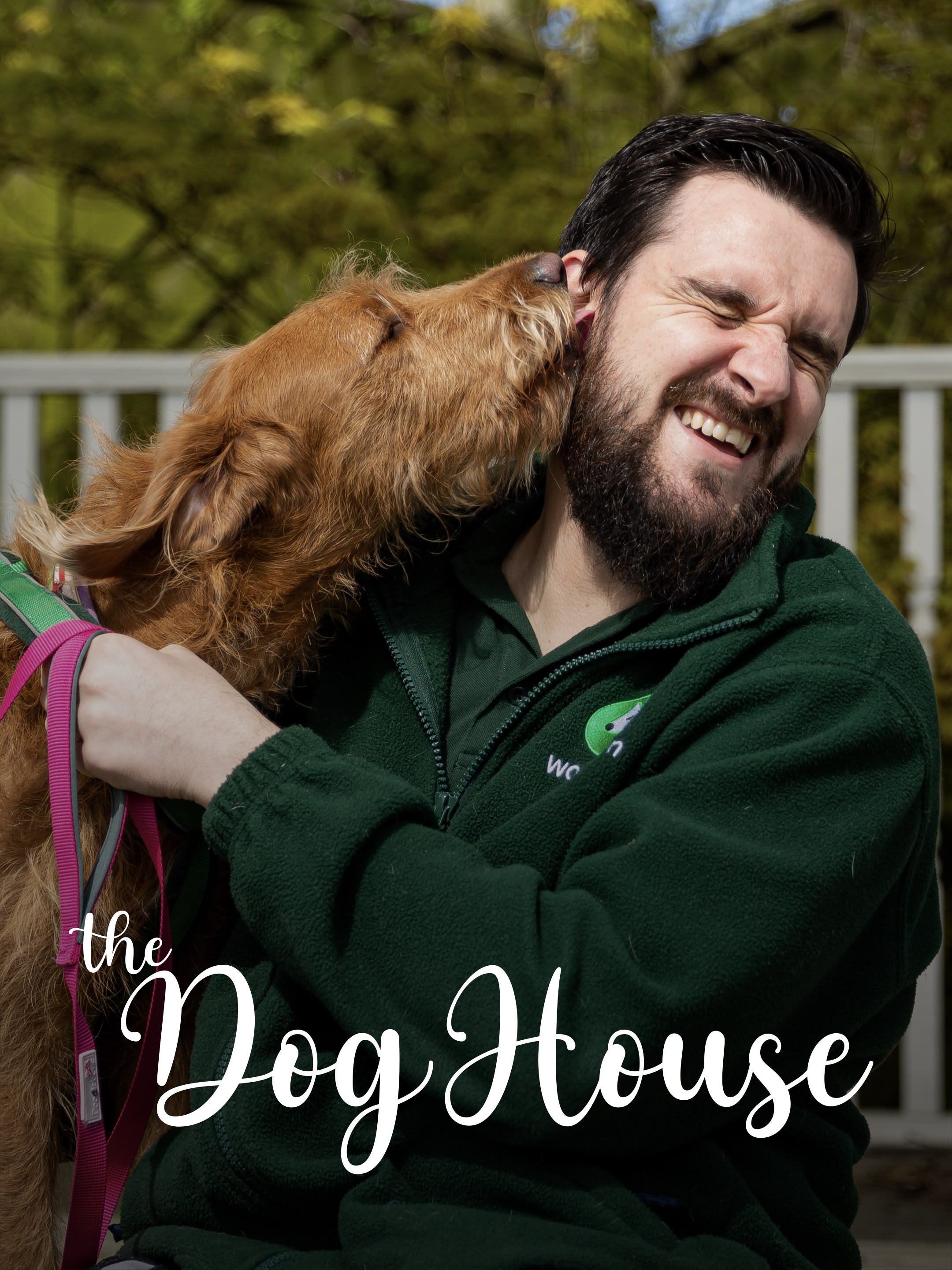 The Dog House