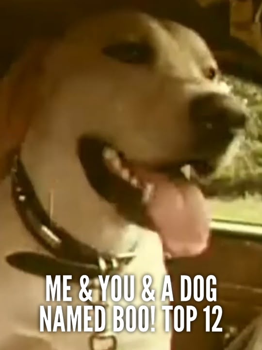 Me & You & A Dog Named Boo! Top 12