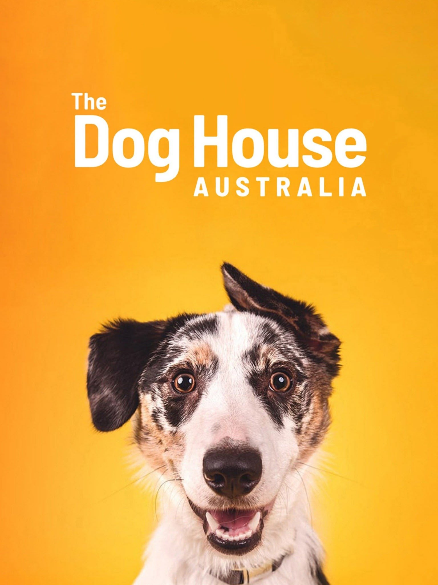 The Dog House Australia