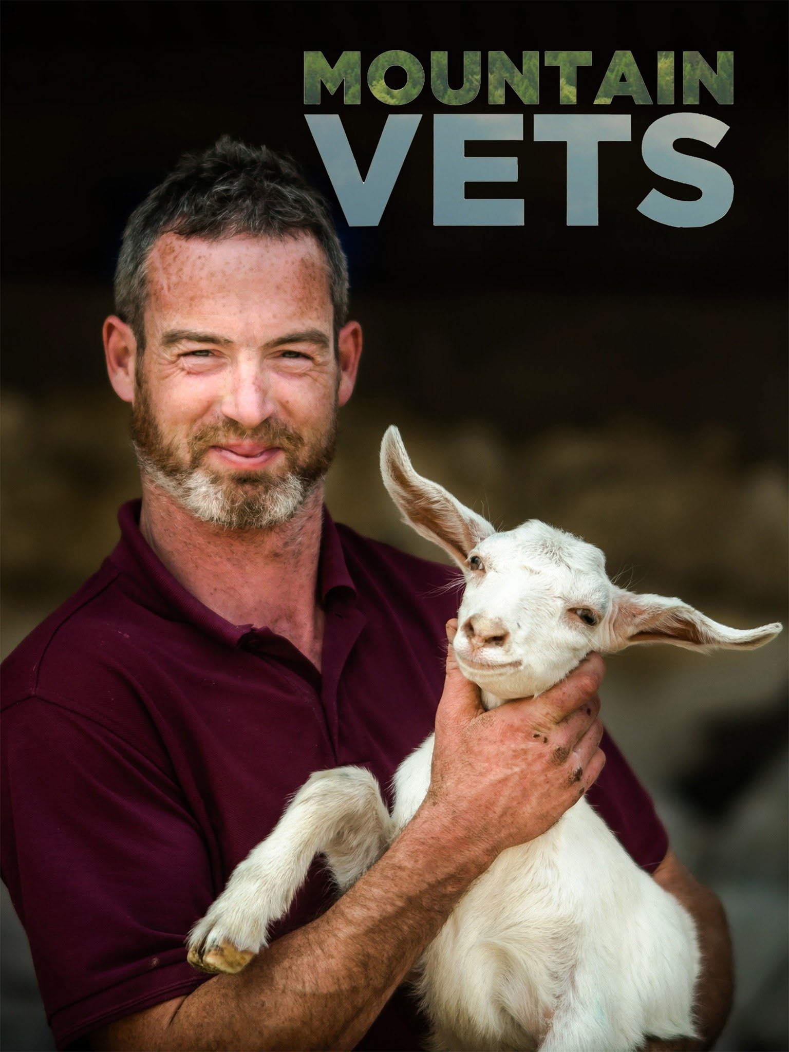 Mountain Vets