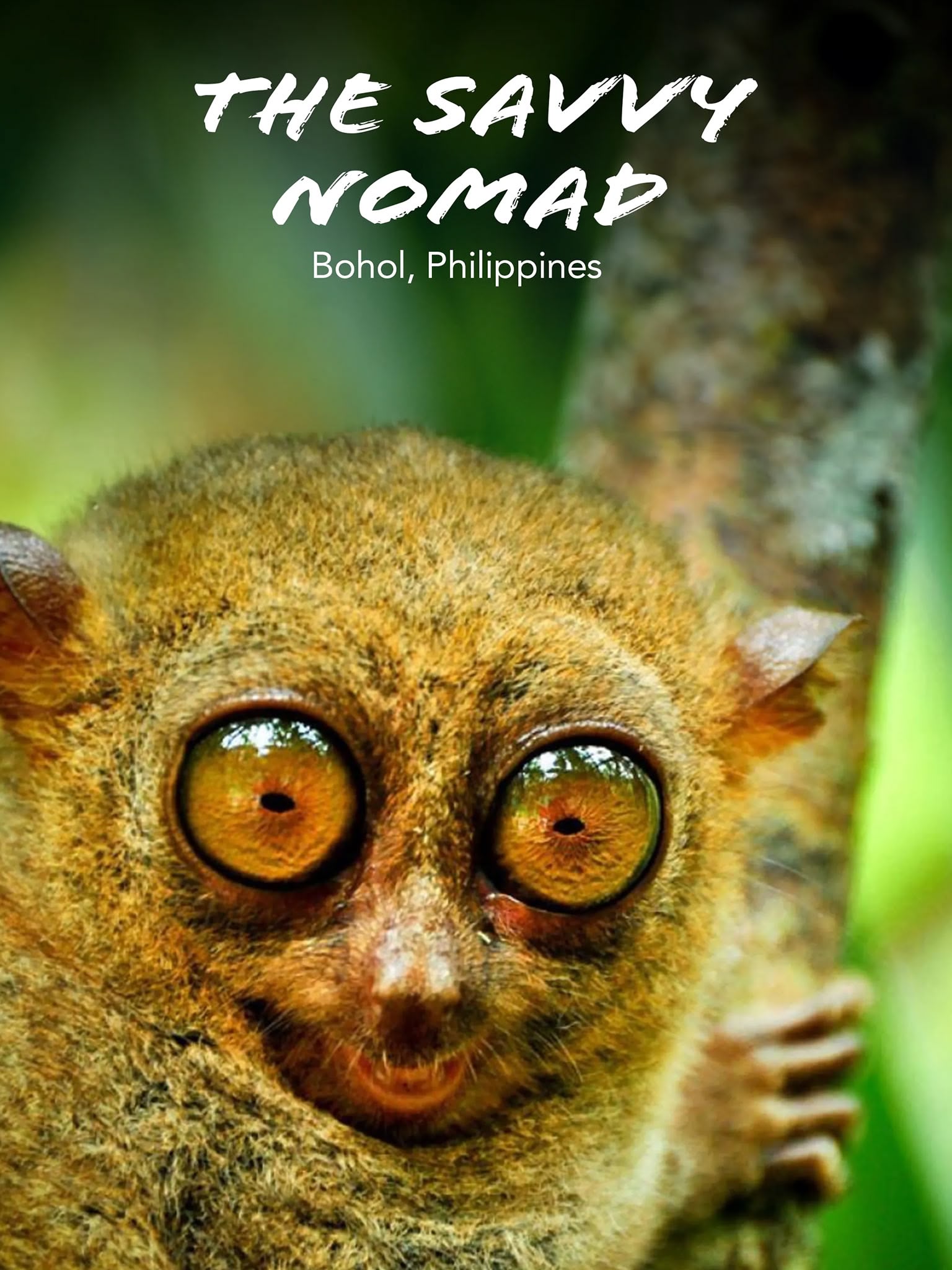 The Savvy Nomad Philippines