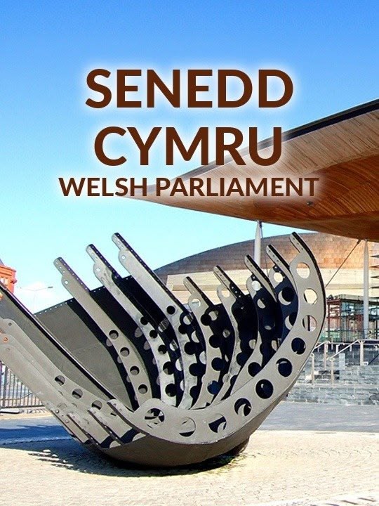 Welsh Senedd - Health and Care Questions