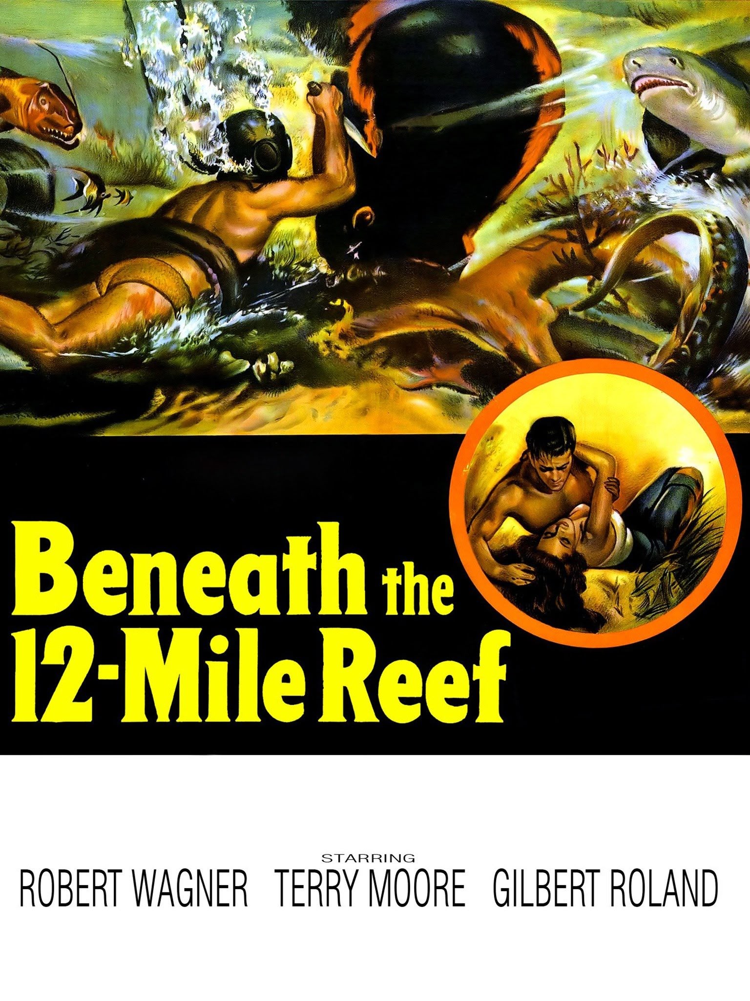 Beneath the 12 Mile Reef
