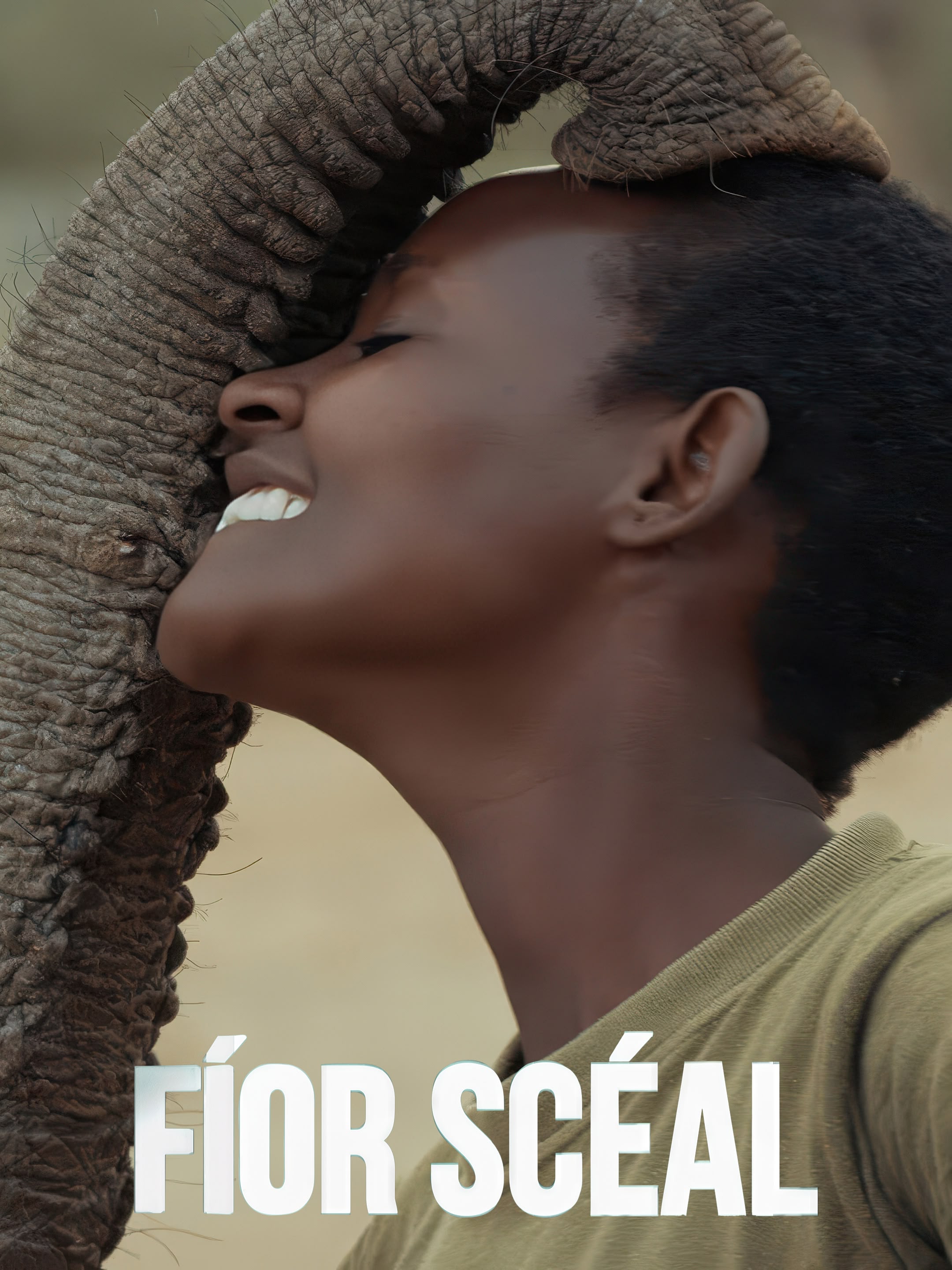 Fíorscéal