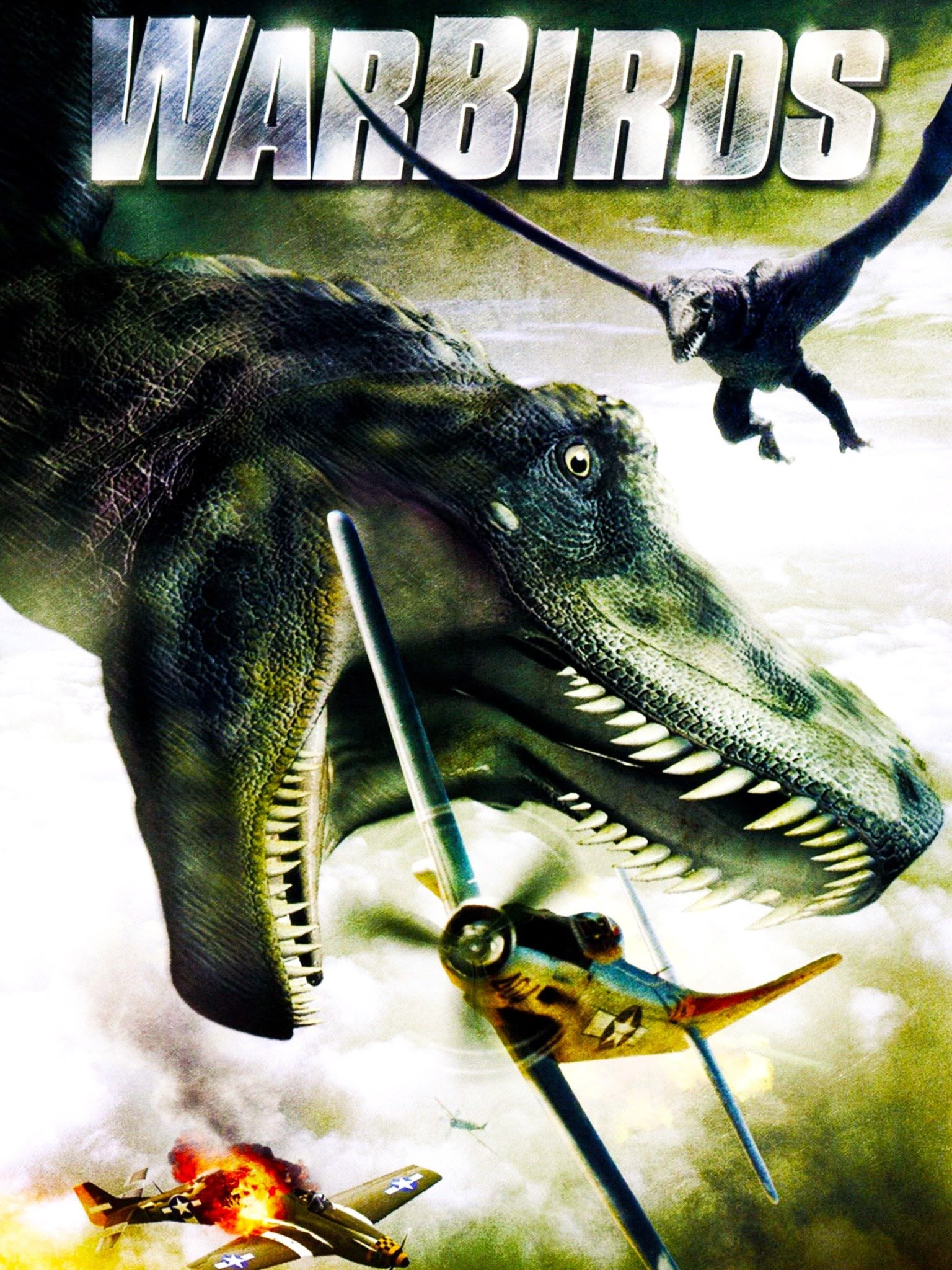 Warbirds