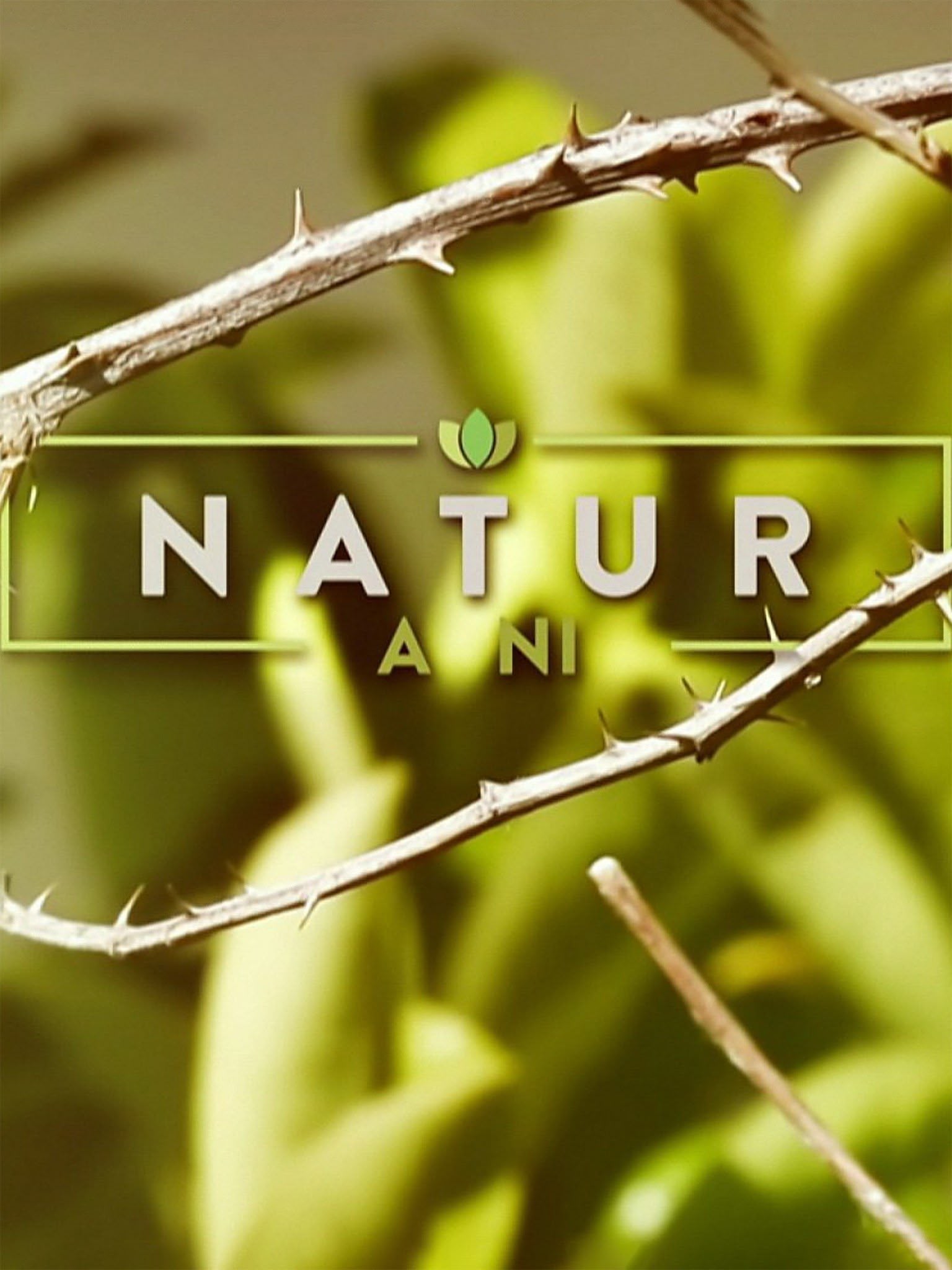 Natur a Ni