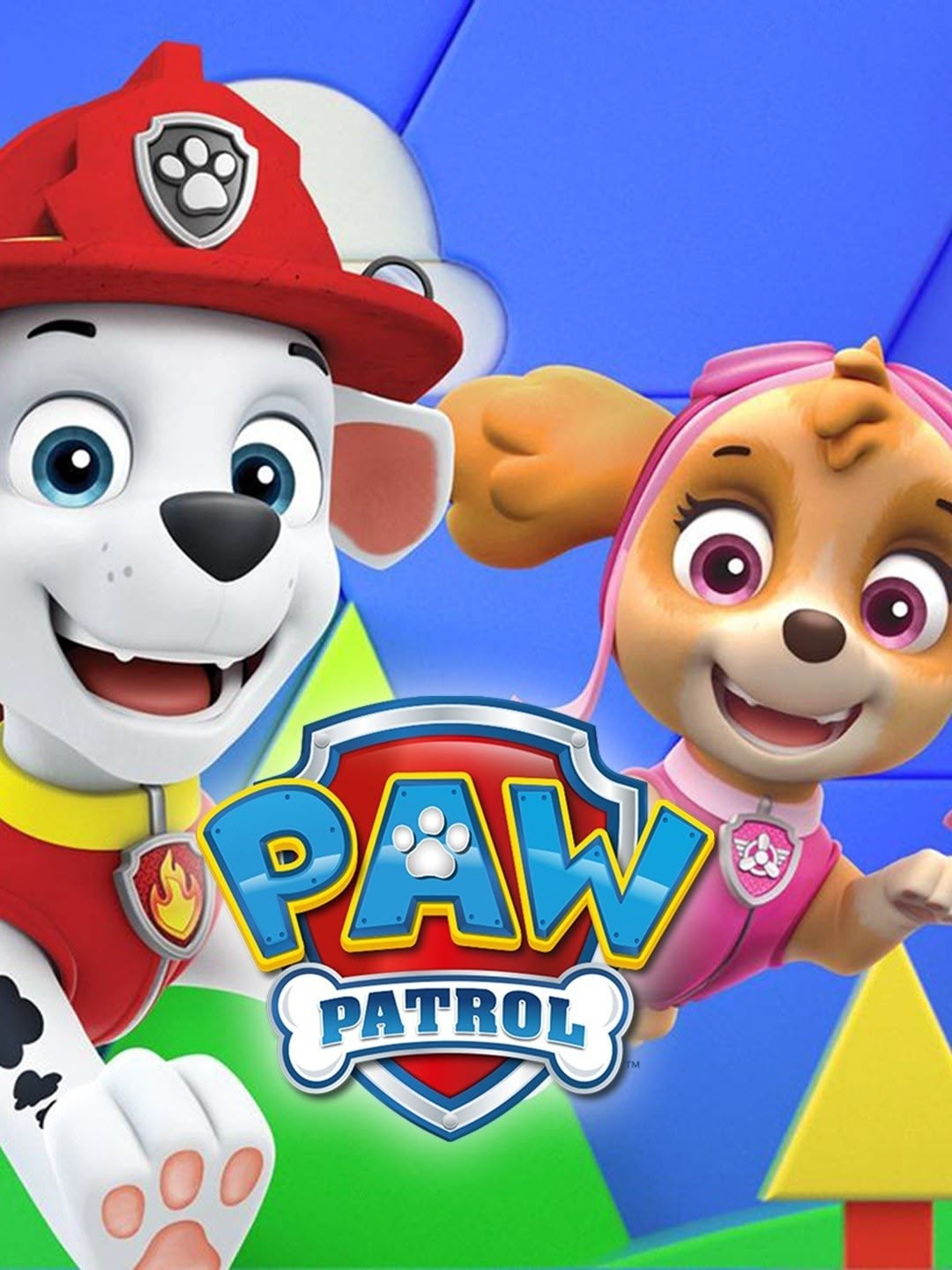**Visually Signed** PAW Patrol
