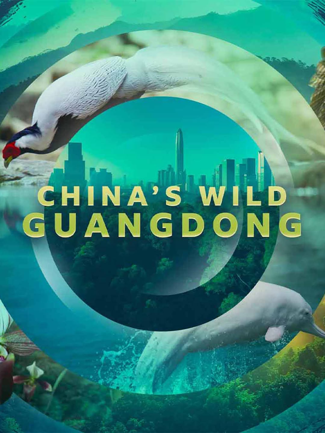 China's Wild Guangdong