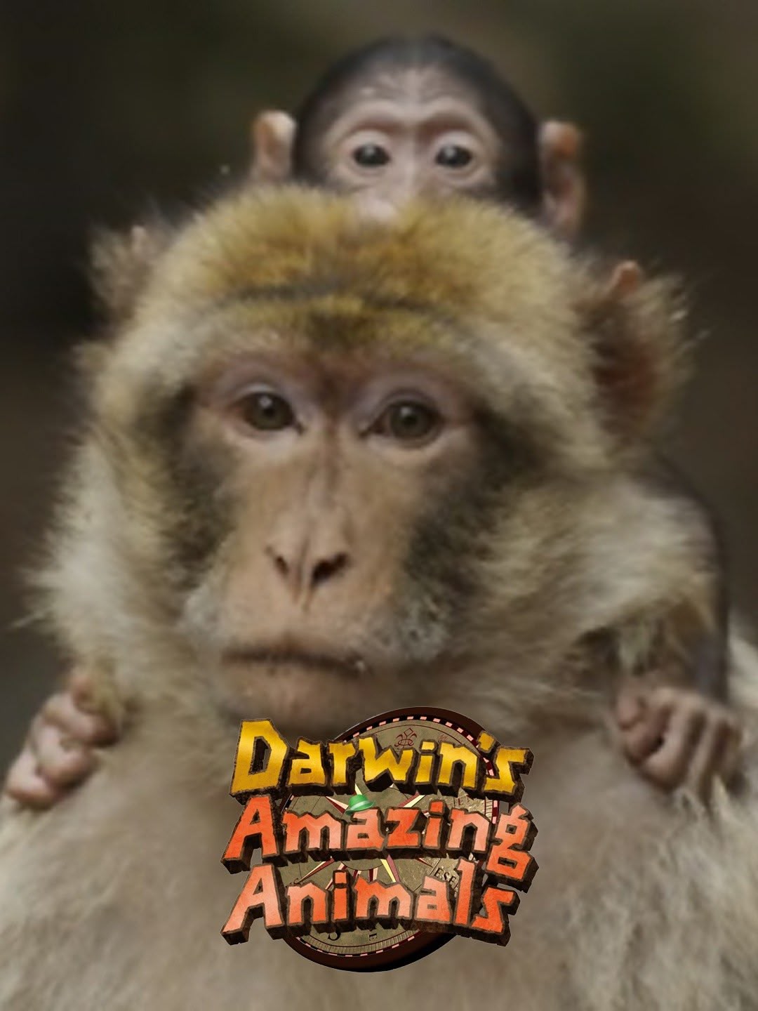 Darwin's Amazing Animals