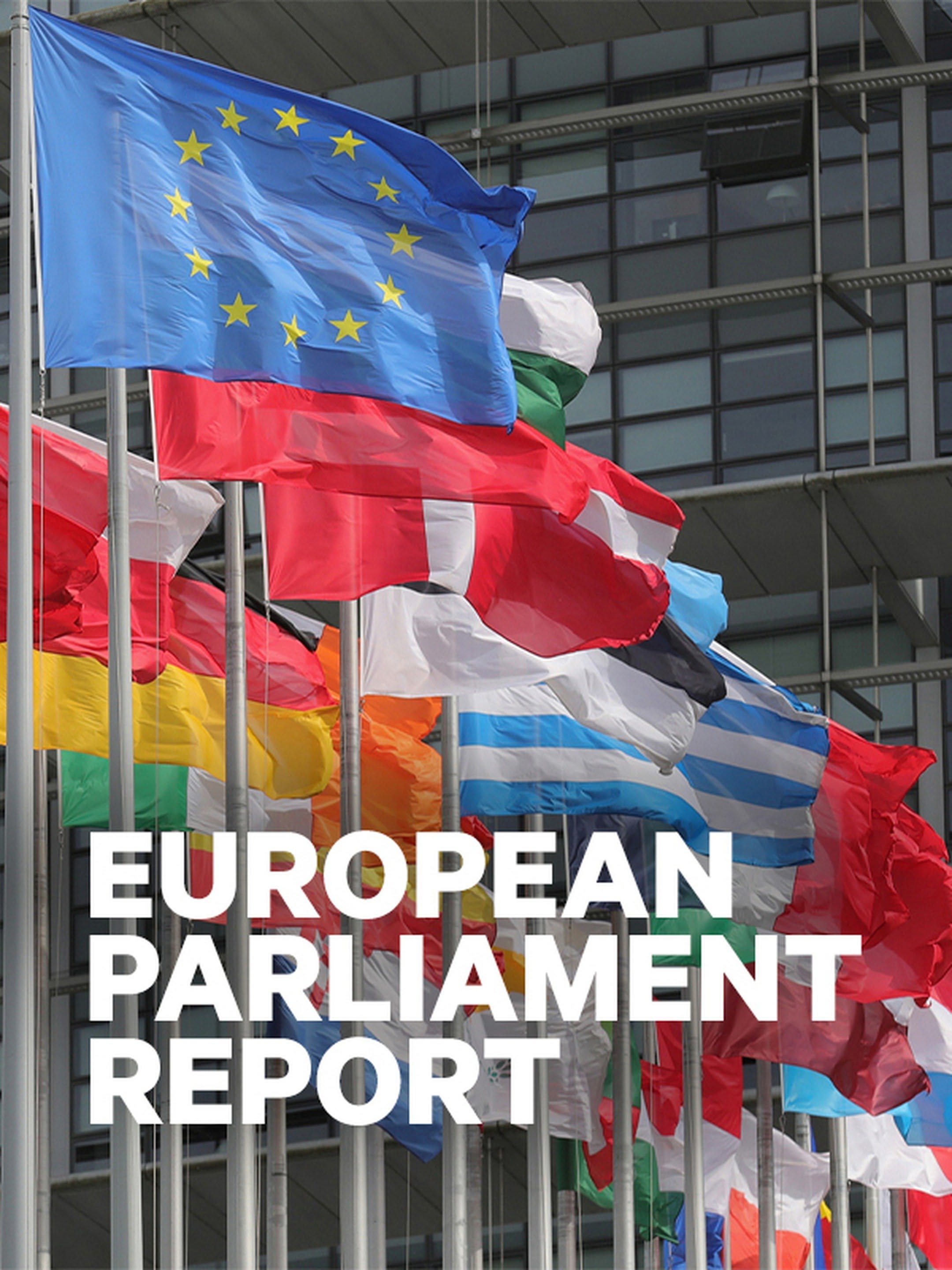 European Parliament Report