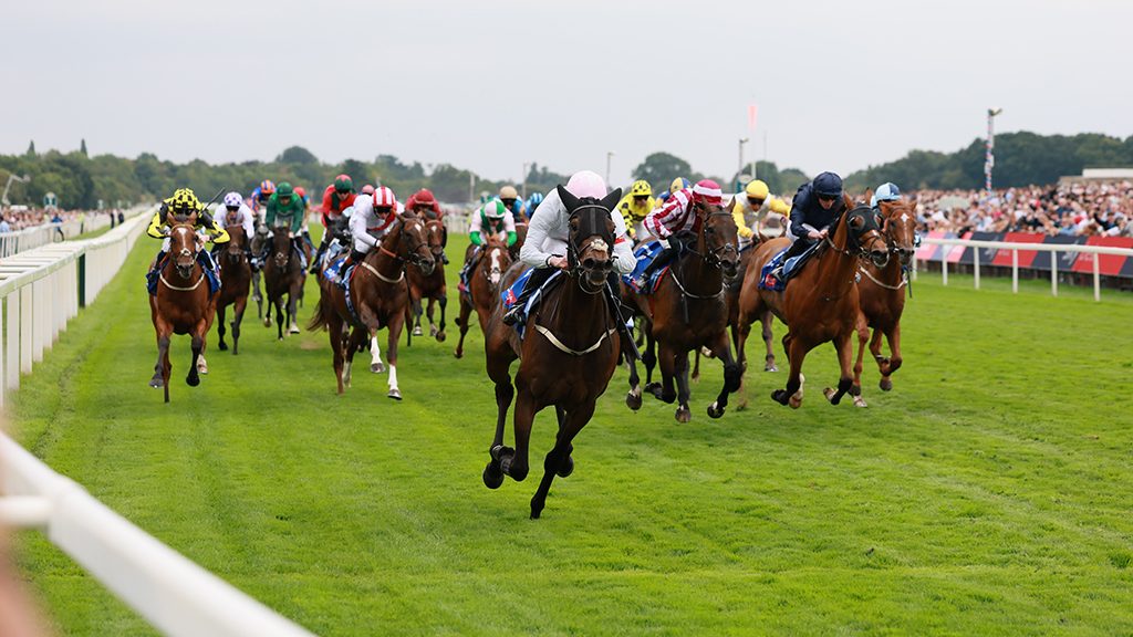STV Racing: Live from Ascot