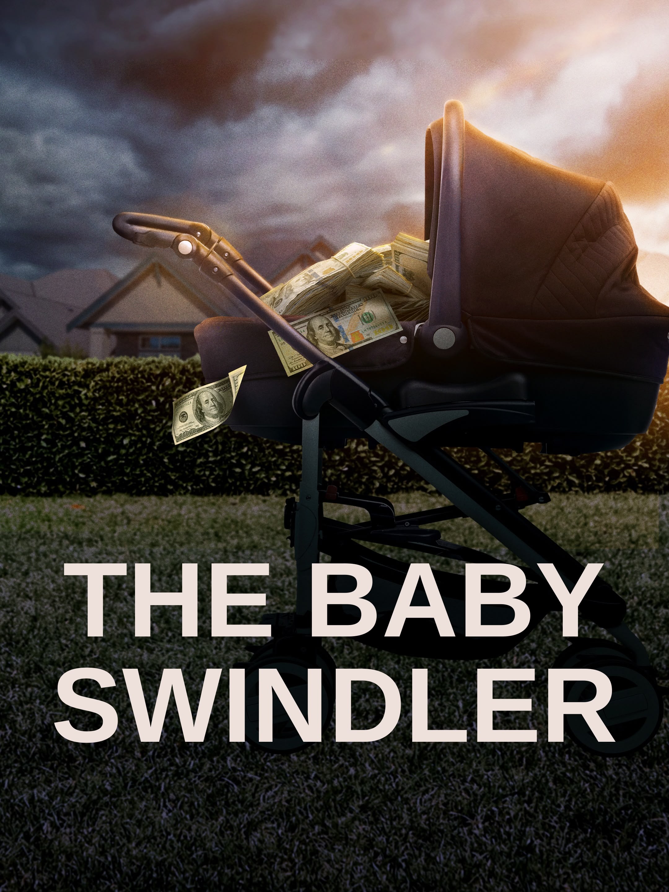The Baby Swindler