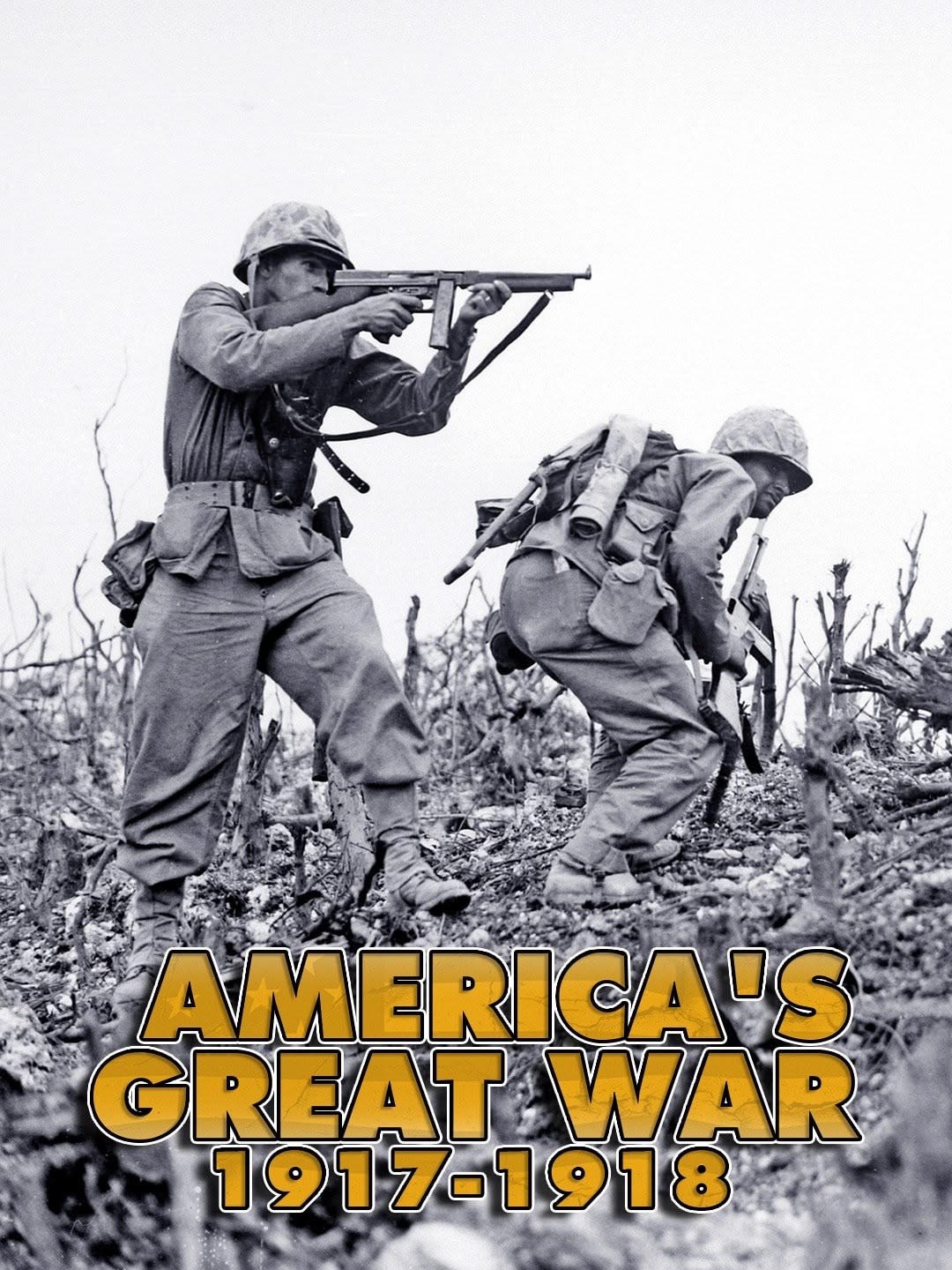 America's Great War 1917-1918