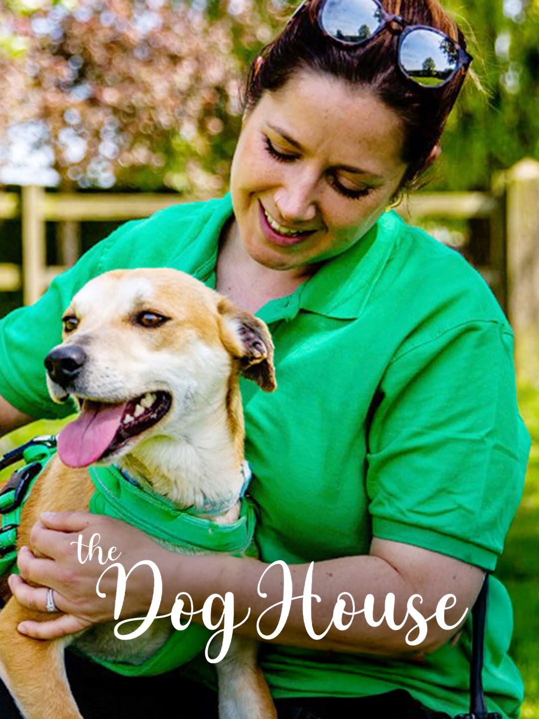 The Dog House